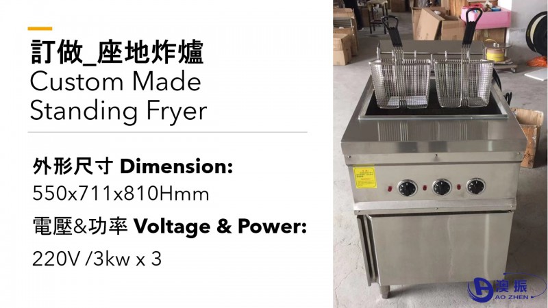 Tailor-Made: Electric Fryer 